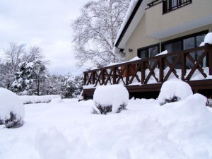雪景色-2012.1.4