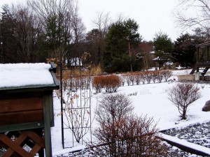 雪景色-20073.11