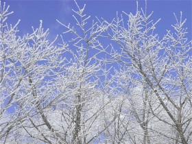 雪景色-2009.3.3