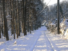 雪景色-2010.2.2