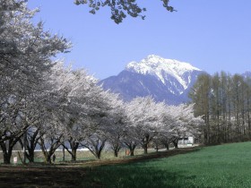 甲斐駒ヶ岳-2012.4.24