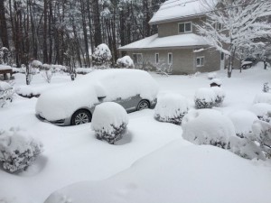 大雪に見舞われました-2016.1.18