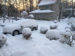 我が家の庭の雪景色-2018.1.23